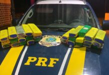 PRF apreende 23 Kg de Maconha na BR 364 em Porto Velho