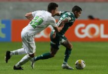 Palmeiras recebe o América-MG no jogo de entrega da taça