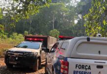 Corpo é encontrado em igarapé com sinais de execução em Porto Velho