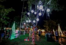 NATAL 2022: Programação do Parque da Cidade tem atraído os moradores da capital