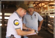 Rally da Pecuária realiza evento técnico em Porto Velho e apresenta cenário de preços e perspectivas para o mercado de carne