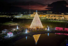 Parque da Cidade ficará fechado por 30 dias para desmontagem dos enfeites de Natal
