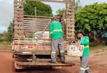 Começou no municípío o mutirão de limpeza contra o mosquito da dengue