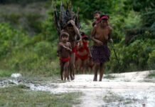 Três antenas de internet via satélite são instaladas em área Yanomami