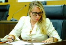 Deputada Ieda Chaves apresenta indicação de criação da Coordenadoria de Bem-Estar do Animal Doméstico