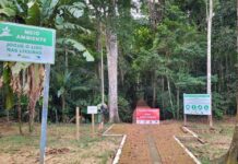 Trilha do Parque Natural está fechada para reforma