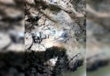 Forças militares da Colômbia encontram pegadas de crianças desaparecidas na Amazônia