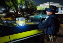 Boliviano é preso transportando skunk em táxi para Porto Velho