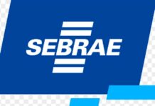 Sebrae em Rondônia abre processo Seletivo 01/2023
