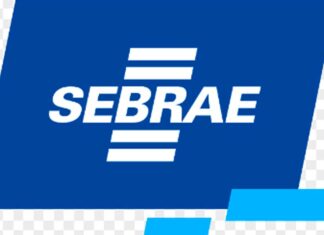 Sebrae em Rondônia abre processo Seletivo 01/2023