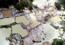 Mais de 4 mil garimpos ilegais contaminam rios e comunidades amazônicas, diz a Organização do Tratado de Cooperação Amazônia
