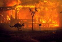 Austrália se prepara para temporada de calor extremo e incêndios