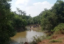 Homem morre em rio de Rondônia e principal suspeita é ataque de peixe elétrico
