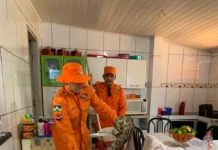 Jiboia de 2 metros é encontrada na gaveta de cozinha em RO
