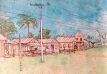 Assembleia Legislativa de Rondônia celebra 40 anos com mostra de artes visuais sobre a Amazônia