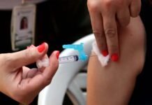 Ministério da Saúde incorpora vacina contra a dengue ao Sistema Único de Saúde