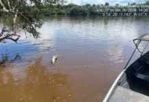 Filho de vice-prefeito morre afogado e cão da família ajuda a localizar corpo em Pimenteiras, RO