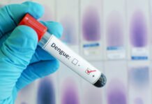 Número de testes positivos de dengue salta de 0,7% para 13% em nove semanas, aponta relatório