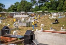 Prefeitura de Porto Velho realiza mutirão de limpeza no cemitério Santo Antônio