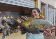 Moradores de Porto Velho têm opções para adquirir peixe fresco para a Sexta-feira Santa