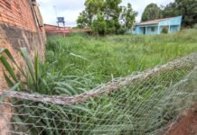 Prefeitura de Porto Velho notifica proprietários de terrenos baldios para que realizem a limpeza dos imóveis
