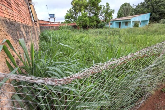 Prefeitura de Porto Velho notifica proprietários de terrenos baldios para que realizem a limpeza dos imóveis