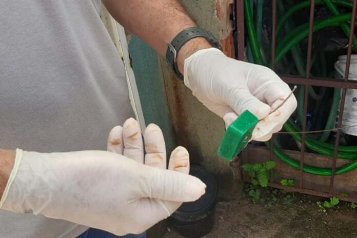 Prefeitura de Porto Velho reforça cuidados e prevenção contra a leptospirose