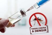 Dengue: tendência é de redução de casos no país, apontam dados do Ministério da Saúde