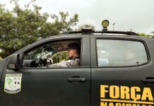 Força Nacional continuará apoiando Ibama na Amazônia Legal