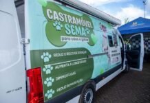 Mais de 55 castrações já foram realizadas em cerca de 15 dias de atendimento na Clínica Pública Veterinária