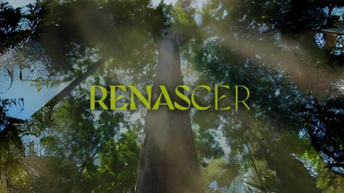 Ambientada na Bahia, ‘Renascer’ marca menos audiência que outras novelas em Salvador