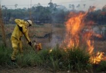 Seca se mantém em Rondônia: Monitor aponta estabilidade no estado, mas 18% do território têm status de gravidade