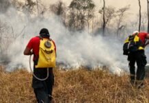 Força-Tarefa do Corpo de Bombeiros combate incêndios florestais em Alvorada do Oeste