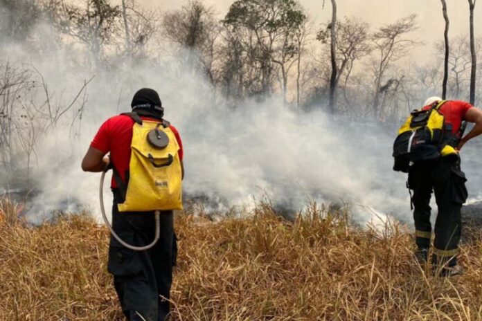 Força-Tarefa do Corpo de Bombeiros combate incêndios florestais em Alvorada do Oeste