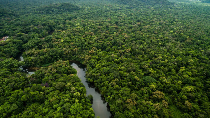 Desmatamento na Amazônia cai 45,7% em um ano; Cerrado tem alta de 9%