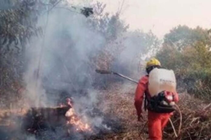 Incêndio que há uma semana devasta vegetação no entorno de Vilhena mobiliza Bombeiros de outras cidades
