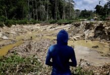 Operação da PF combate garimpo ilegal na Terra Indígena Yanomami