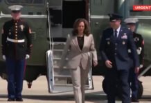 Casa Branca critica post de Musk sobre ameaças de assassinato contra Kamala