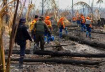 Equipes buscam alternativas de acesso aos locais de combate a focos de calor no Parque Guajará-Mirim