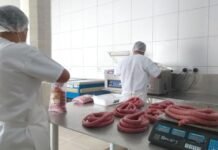 Prefeitura de Porto Velho garante segurança alimentar por meio do Serviço de Inspeção Municipal (SIM)