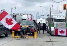 Lojas canadenses boicotam produtos dos EUA após tarifas de Trump