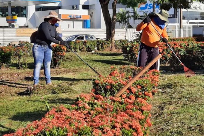 Secretaria de Meio Ambiente apresenta balanço das ações dos três primeiros meses da atual gestão