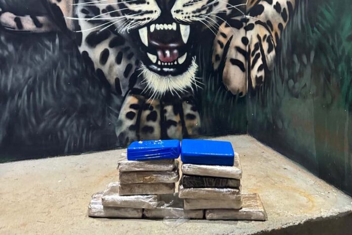 Passageiro é preso pela PM com 13 kg de drogas em ônibus na BR-425