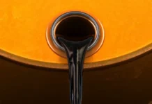 Em leilão, governo concede 19 novas áreas para exploração de petróleo na Foz do Amazonas