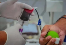 Prefeitura de Porto Velho reforça apoio à doação de sangue e homenageia doadores no Dia Mundial do Doador
