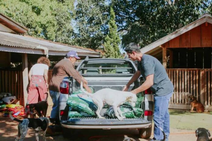 Prefeitura mantém ações diárias em abrigo provisório de animais em Vilhena