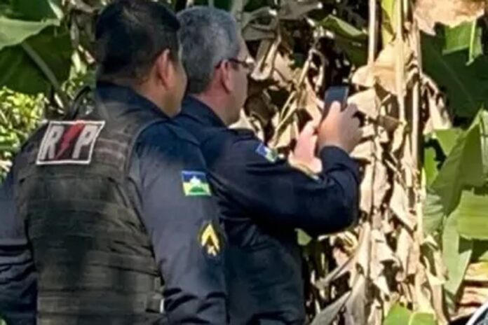 Cadáver é encontrado desovado em matagal na Estrada do Areia Branca