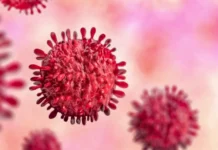 Variante XFG da Covid é detectada no Brasil e avança pelo mundo