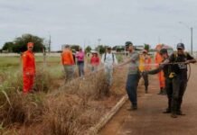 Prefeitura de Vilhena abre processo seletivo para contratação de brigadistas municipais