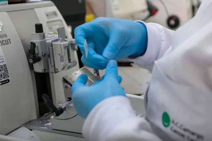 Cura de câncer de próstata pode chegar a até 98%